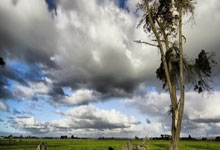 国际比赛日上海申花备战意甲，战术微调细节曝光，悬念犹存，年轻球员得到机会的简单介绍